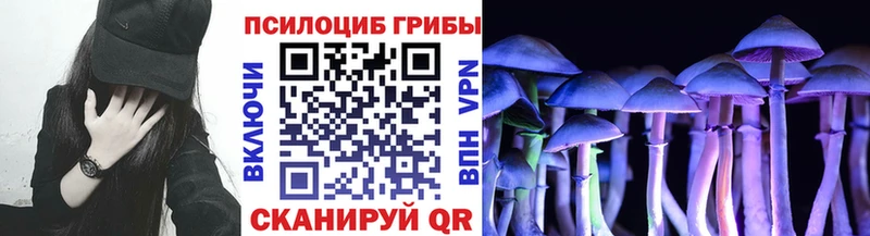 Псилоцибиновые грибы мухоморы Краснознаменск